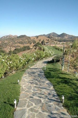 Enlarge photo 19