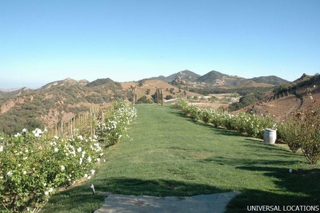 Enlarge photo 21