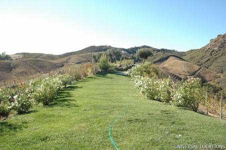 Enlarge photo 23