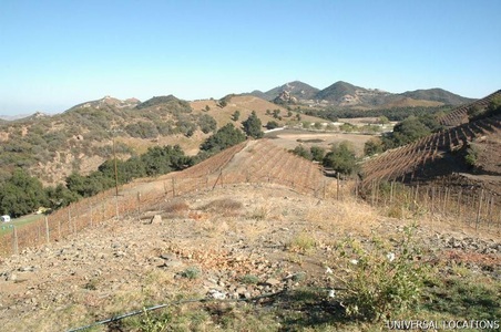 Enlarge photo 24