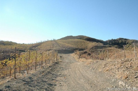 Enlarge photo 30