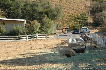 Enlarge photo 43