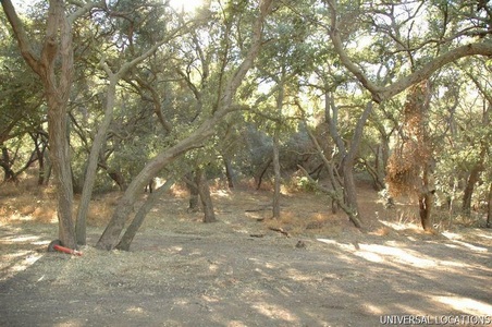 Enlarge photo 45