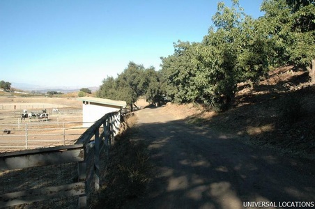 Enlarge photo 48