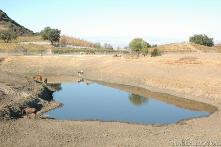 Enlarge photo 51