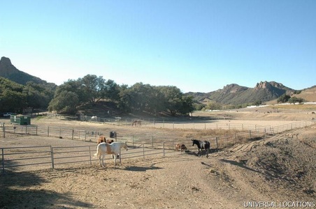 Enlarge photo 52