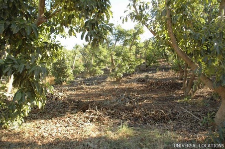 Enlarge photo 54