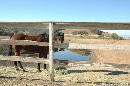 Enlarge photo 56