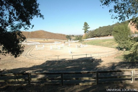 Enlarge photo 59
