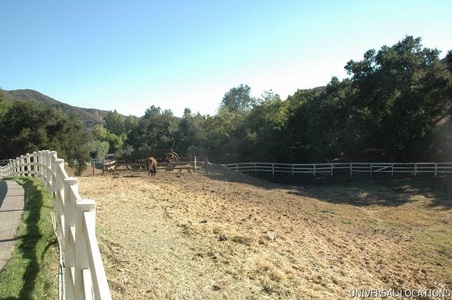 Enlarge photo 64