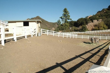 Enlarge photo 83