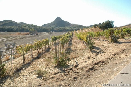 Enlarge photo 84