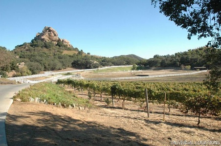 Enlarge photo 88