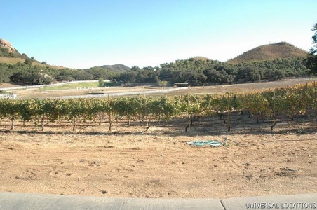 Enlarge photo 91