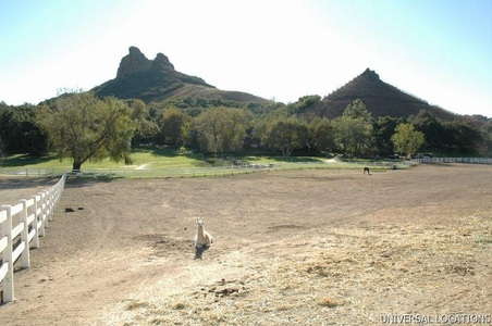 Enlarge photo 93