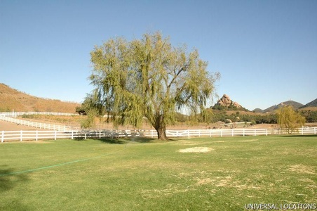 Enlarge photo 117