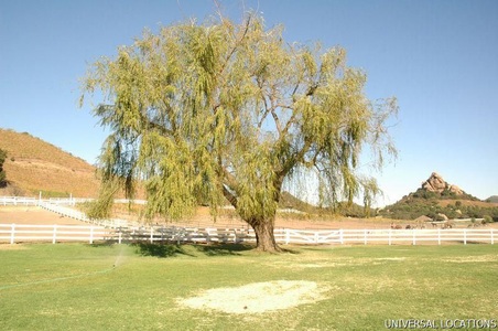 Enlarge photo 118
