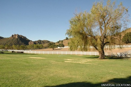 Enlarge photo 123