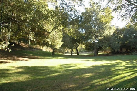 Enlarge photo 127