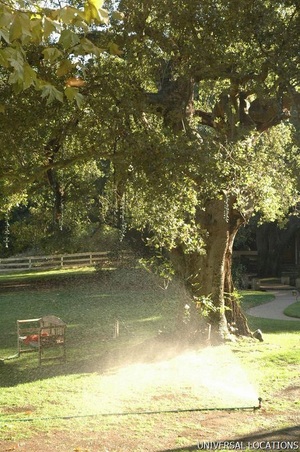 Enlarge photo 136