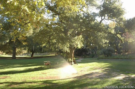 Enlarge photo 137