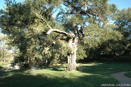 Enlarge photo 144