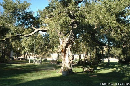 Enlarge photo 145