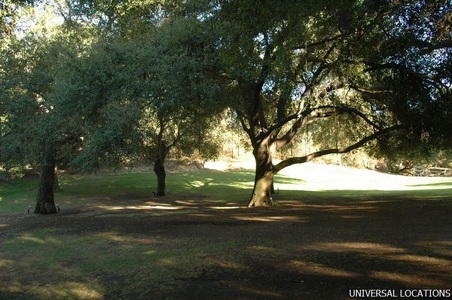 Enlarge photo 148