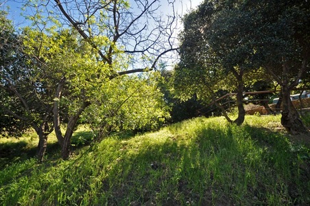 Enlarge photo 19