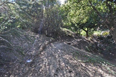 Enlarge photo 22