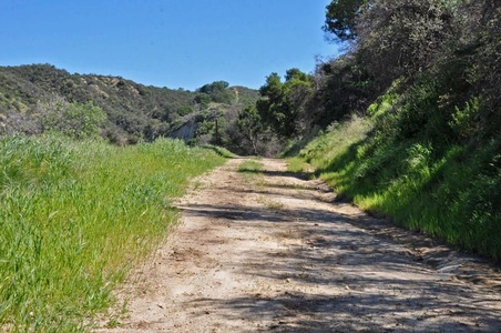Enlarge photo 24