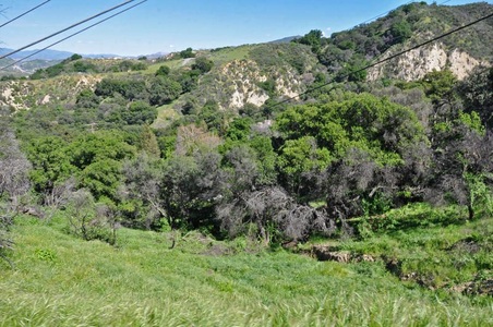 Enlarge photo 34