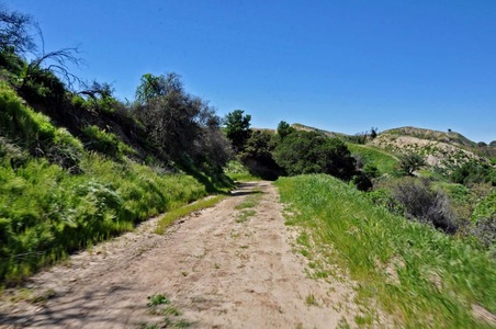 Enlarge photo 37