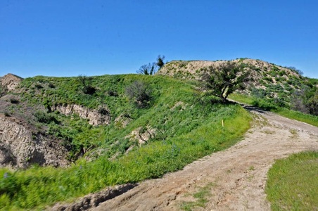Enlarge photo 39