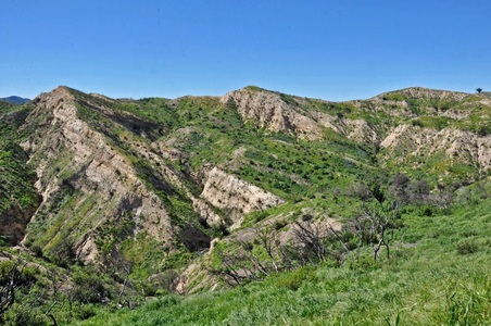 Enlarge photo 40