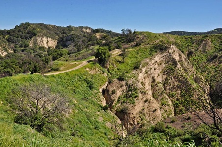 Enlarge photo 43