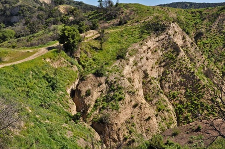 Enlarge photo 44