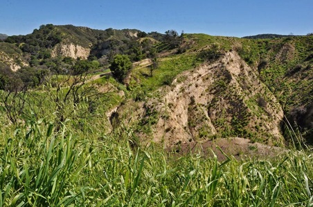 Enlarge photo 46