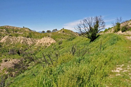 Enlarge photo 47
