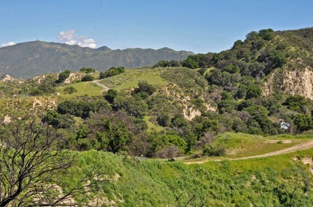 Enlarge photo 49