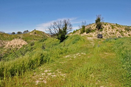 Enlarge photo 50