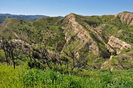 Enlarge photo 51