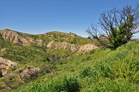 Enlarge photo 52