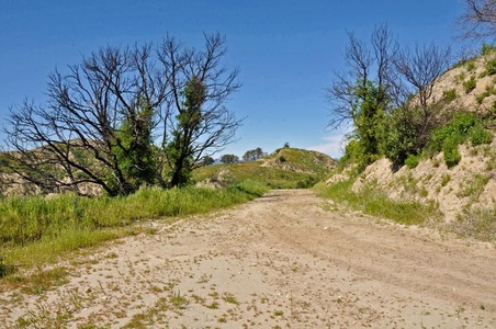 Enlarge photo 53