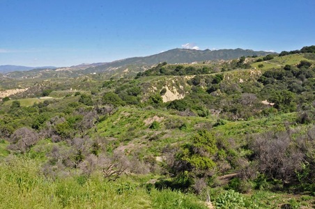 Enlarge photo 57