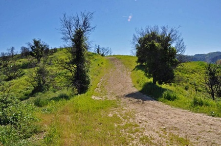 Enlarge photo 58