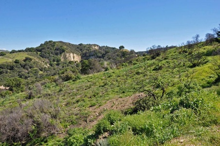 Enlarge photo 59
