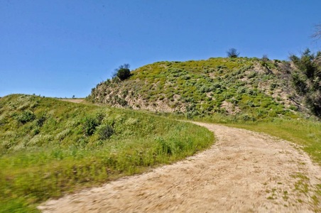Enlarge photo 61