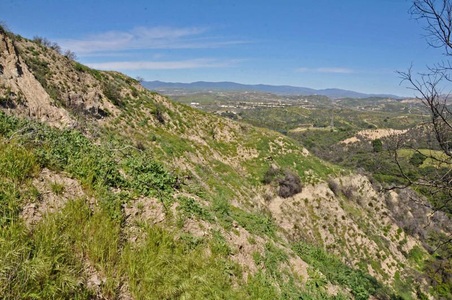 Enlarge photo 62
