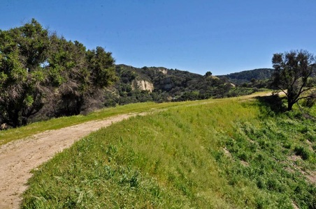 Enlarge photo 64